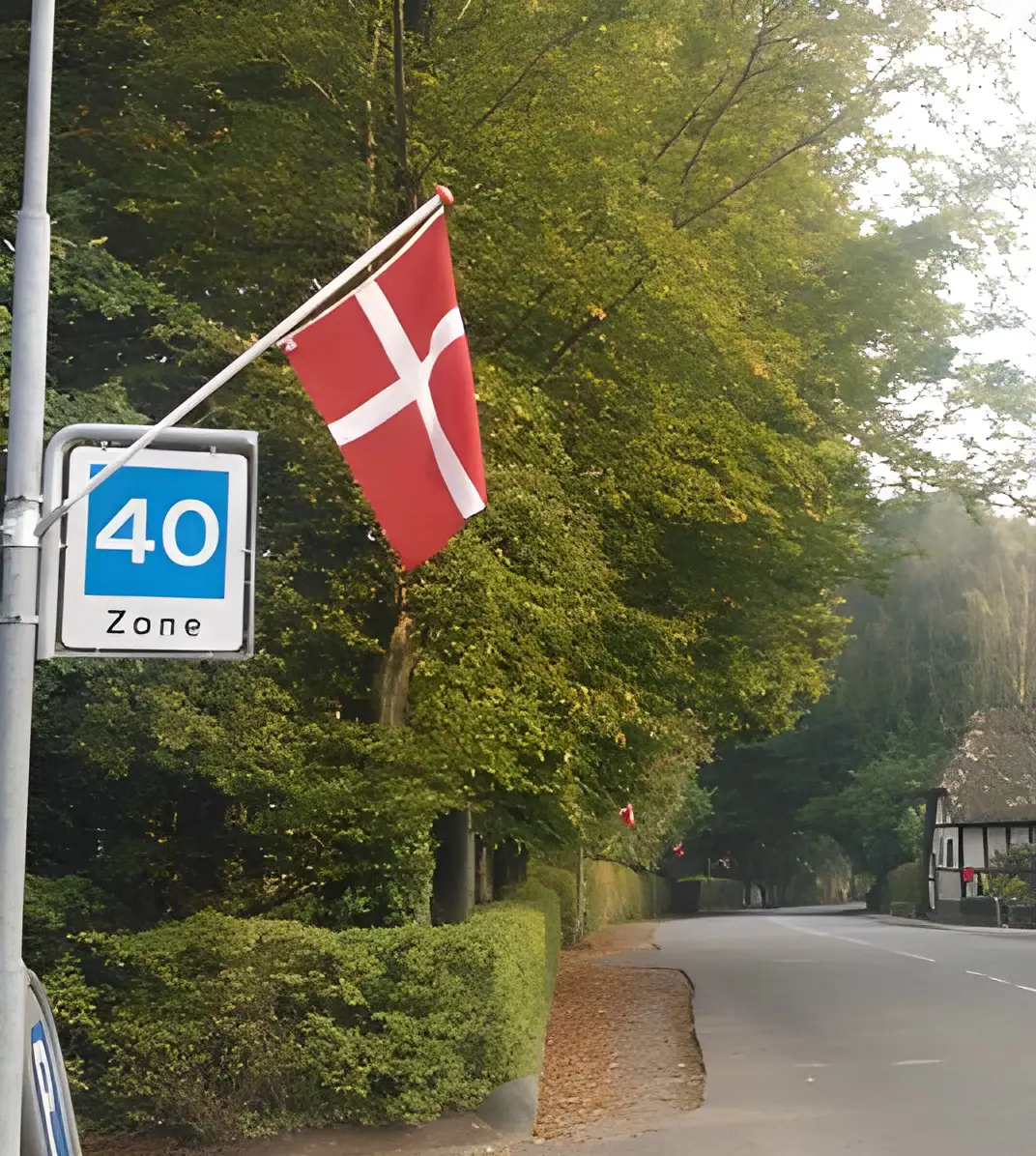 Flagallé Flemløse Voldtofte vej